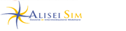 Alisei Sim