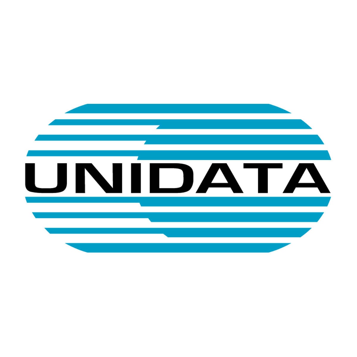 Report engagement: UNIDATA