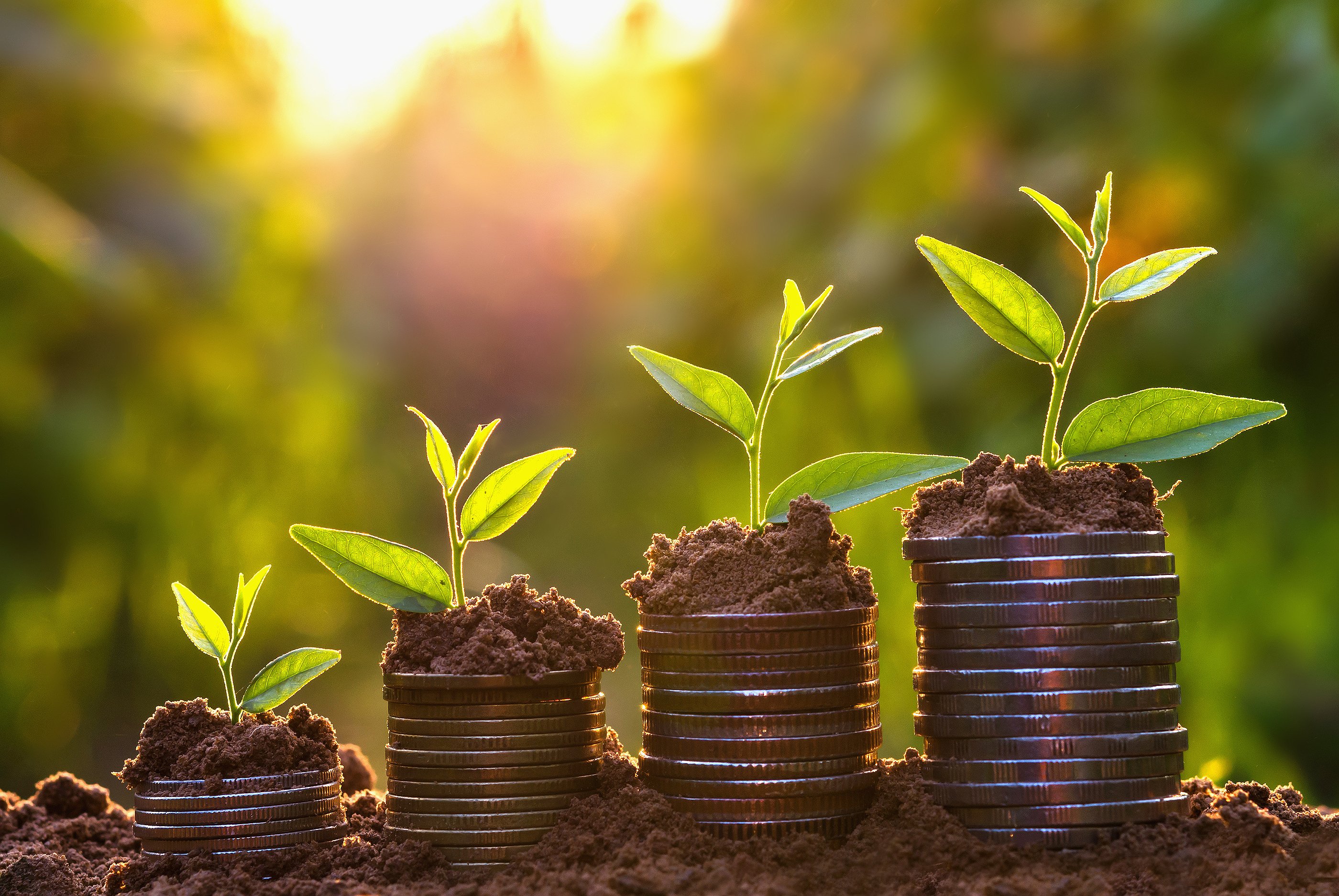 I vantaggi del reinvestire i guadagni